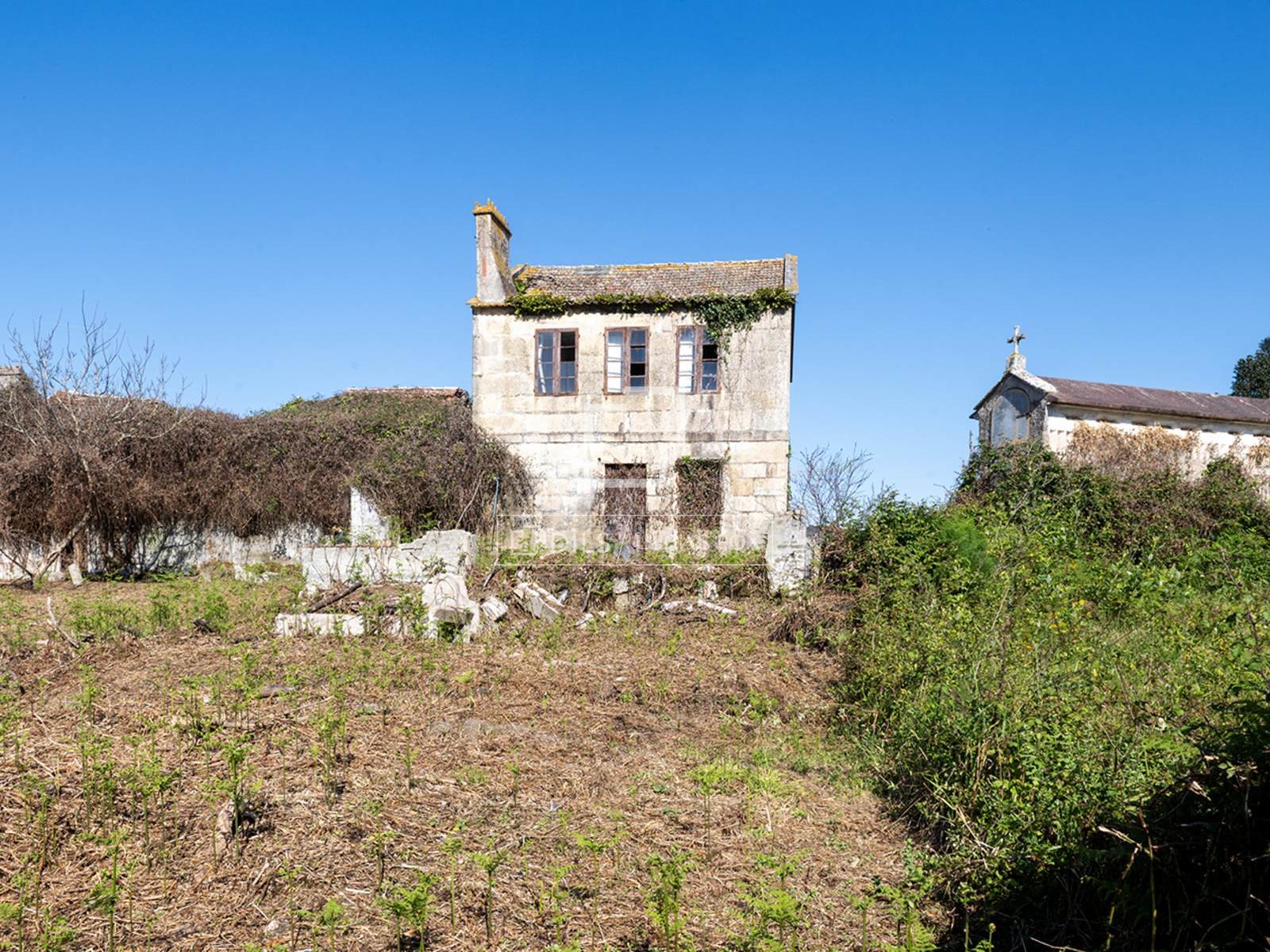 Purchase: House (36517)