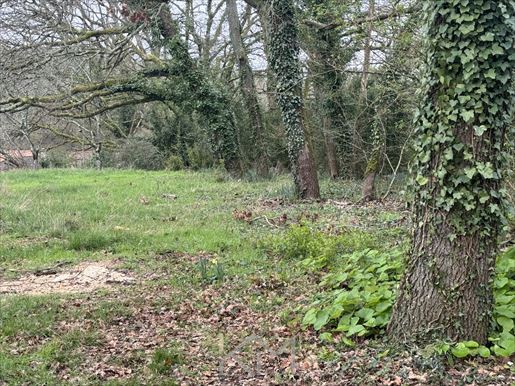 Terrain 701 m² · à Saint-Benoît · 701 m² · 90 000 €