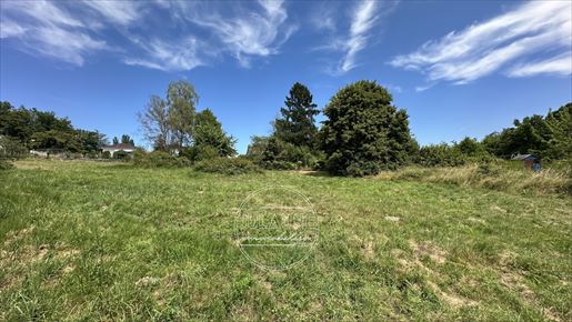Terrain 3139 m² · à Le Palais-sur-Vienne · 3 139 m² · 81 500 €