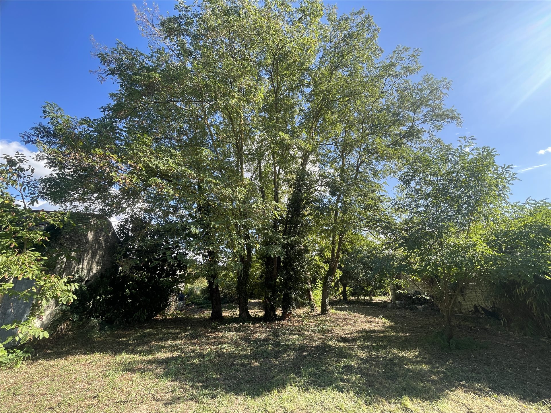 Maison à vendre, 160m², Berthegon