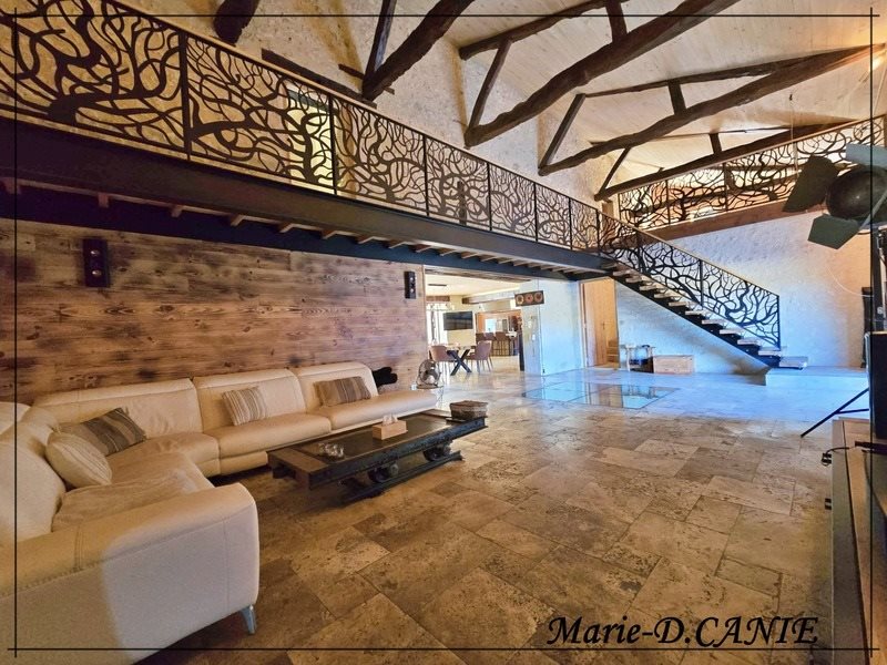 Maison à vendre, 430m², La Romieu