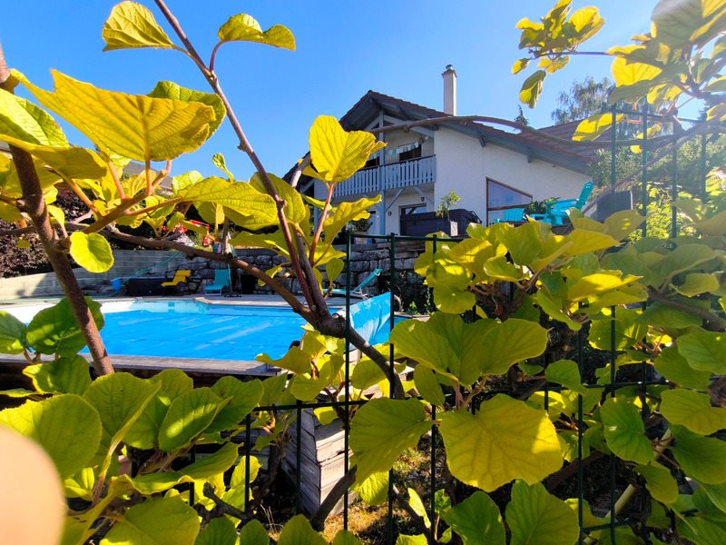 Maison à vendre, 220m², Viuz-en-Sallaz