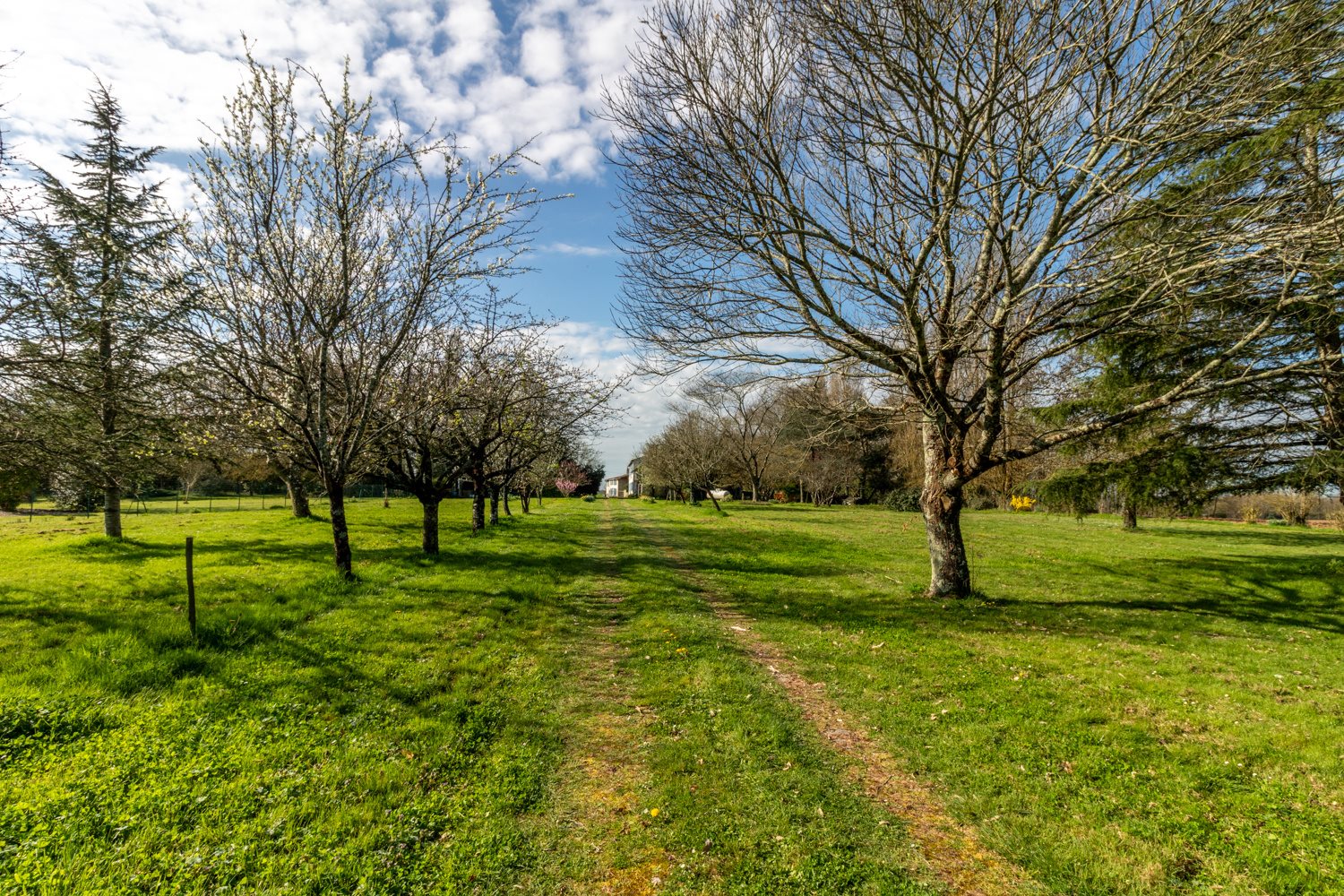 Maison à vendre, 245m², Nieul-lès-Saintes