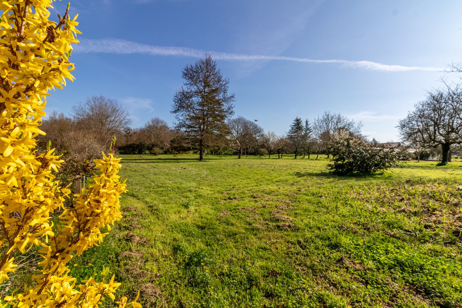 Maison à vendre, 245m², Nieul-lès-Saintes