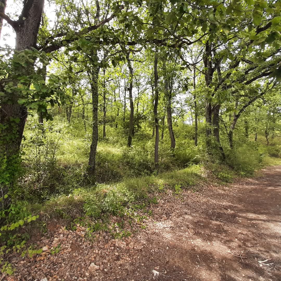 Maison à vendre, 300m², Campagne-sur-Aude