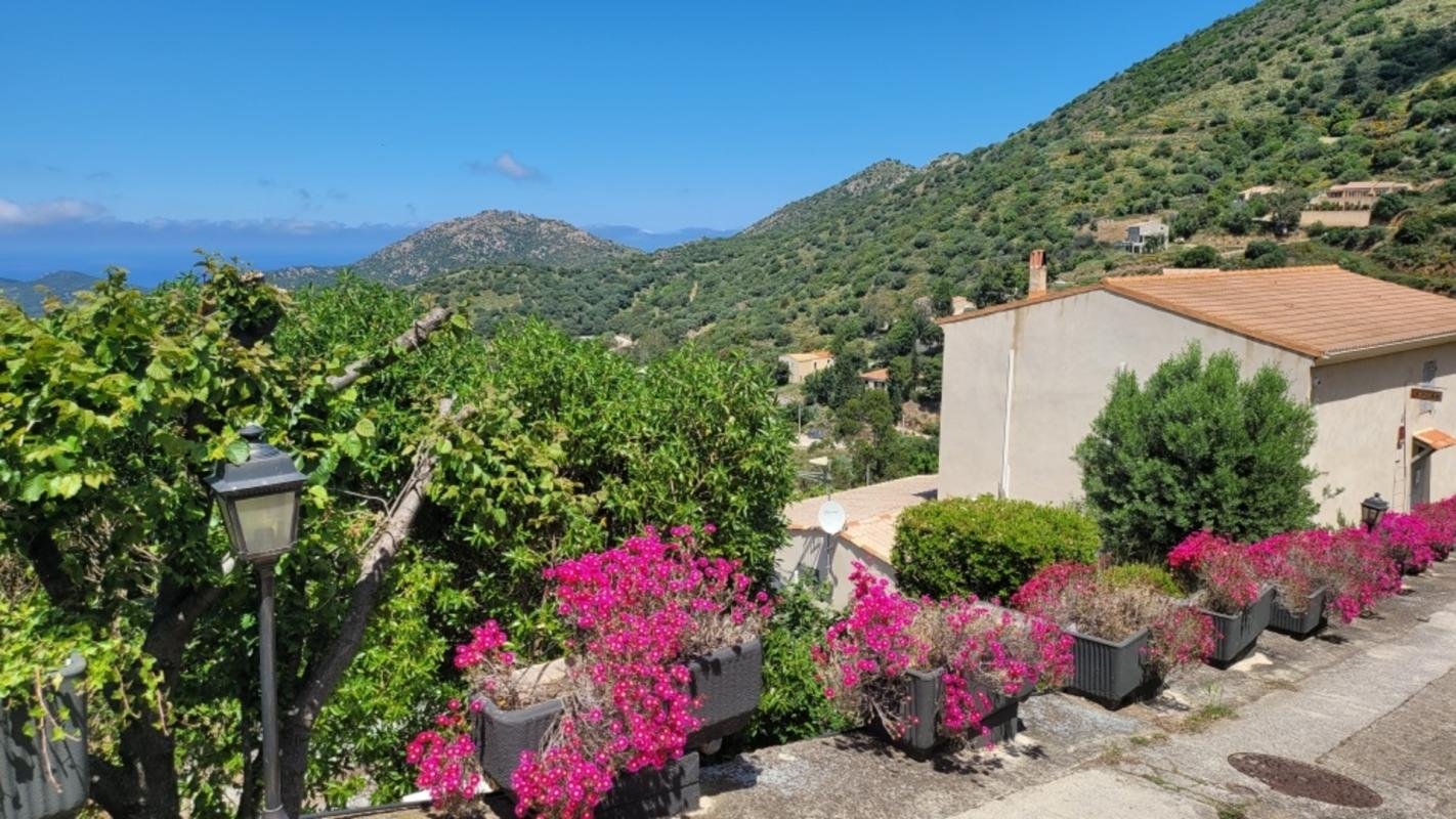 Maison à vendre, 337m², Belgodère