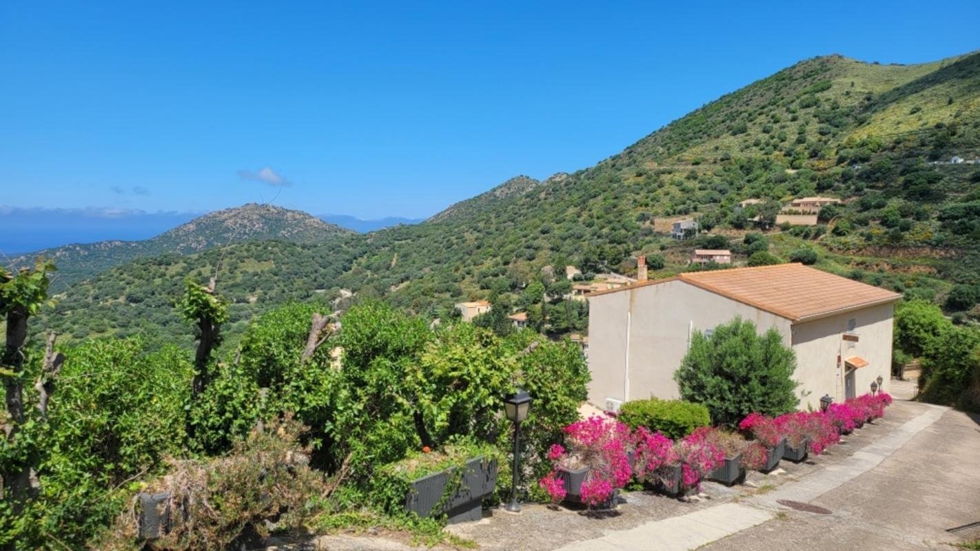 Maison à vendre, 337m², Belgodère