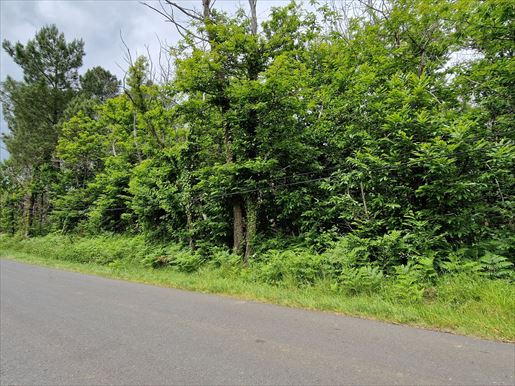 Terrain à bâtir, sur hauteur, au calme mais non isolé, env 5 km du Bugue · à Saint-Cyprien · 43 000 €