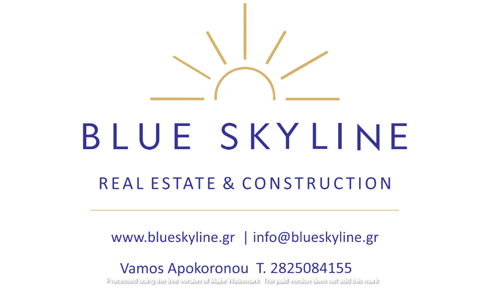 company logo : Blue Skyline
