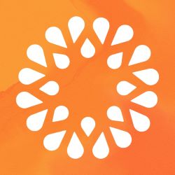 company logo : SOLUM REAL ESTATE