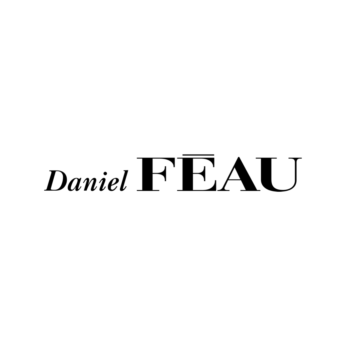 Daniel Feau Conseil Immobilier