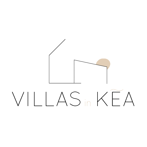 company logo : Villasinkea 
